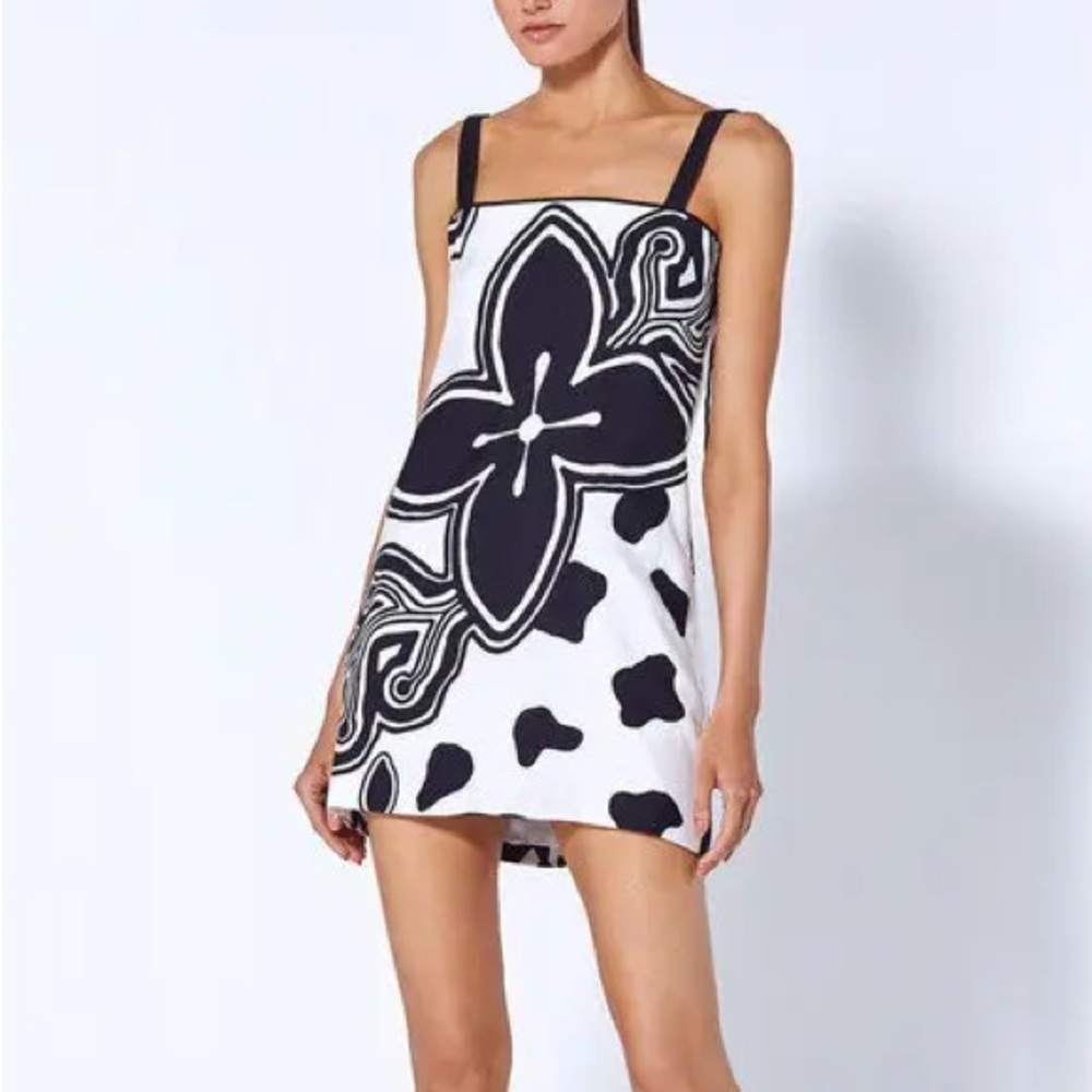 Alexis Irisa dress